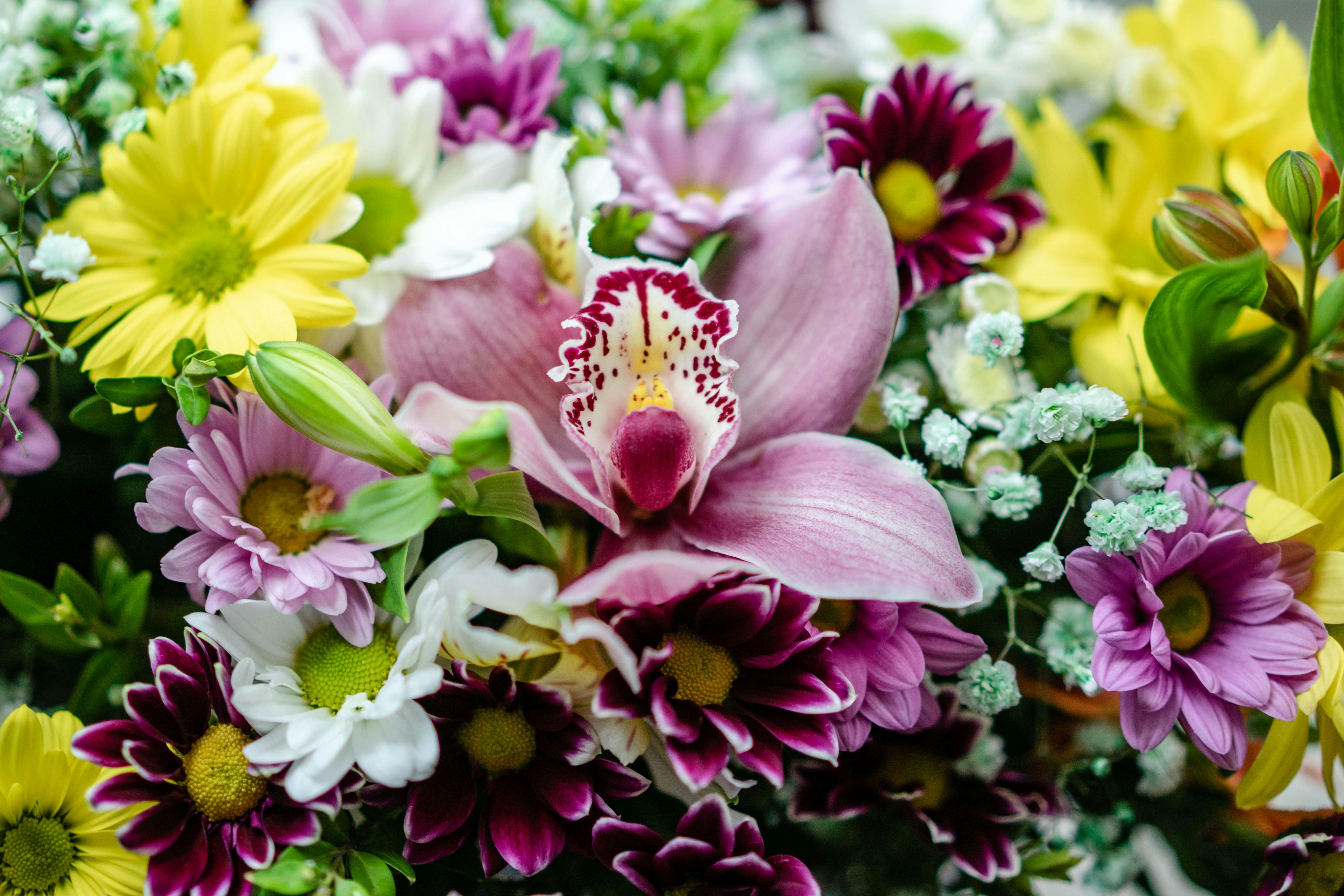 Bouquets