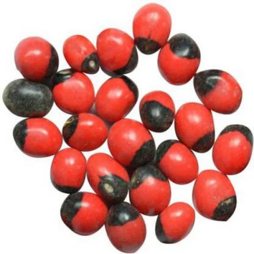 Red Gunja Seeds Chirmi Gurinvida Beads Ratti Gumchi | Herb Seeds