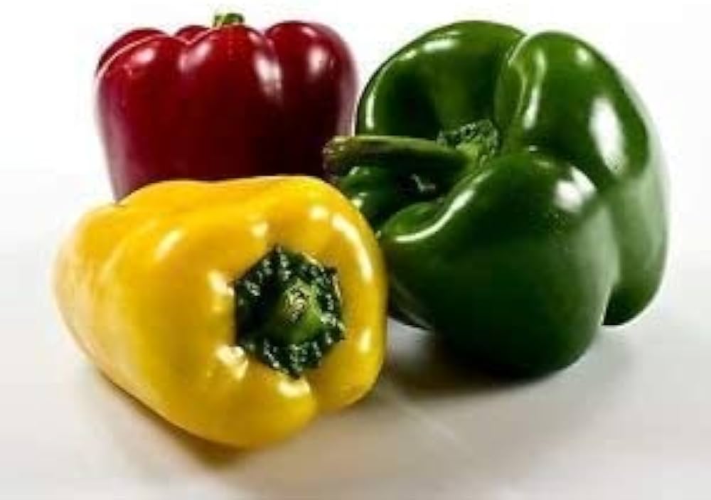 Capsicum Mix F1 Hybrid Shimla Mirch | Vegetable Seeds